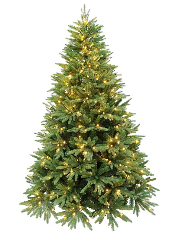 Evergreen Valley Fraser Fir Christmas Tree – HOLIDAY STUFF
