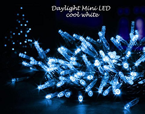 200T/65ft Indoor Outdoor Christmas Light/LED String Light (Warm White 200L)