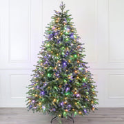 Holiday Stuff Dual Fraser Fir Pre-Lit Artificial Christmas Tree, Colour Changing LEDs, Remote Control