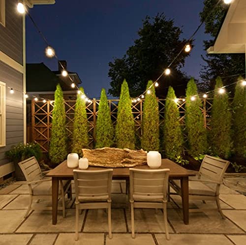 Holiday Stuff 25Ft G40 25+2 LED Solar Powered Outdoor String Lights/Patio Lights