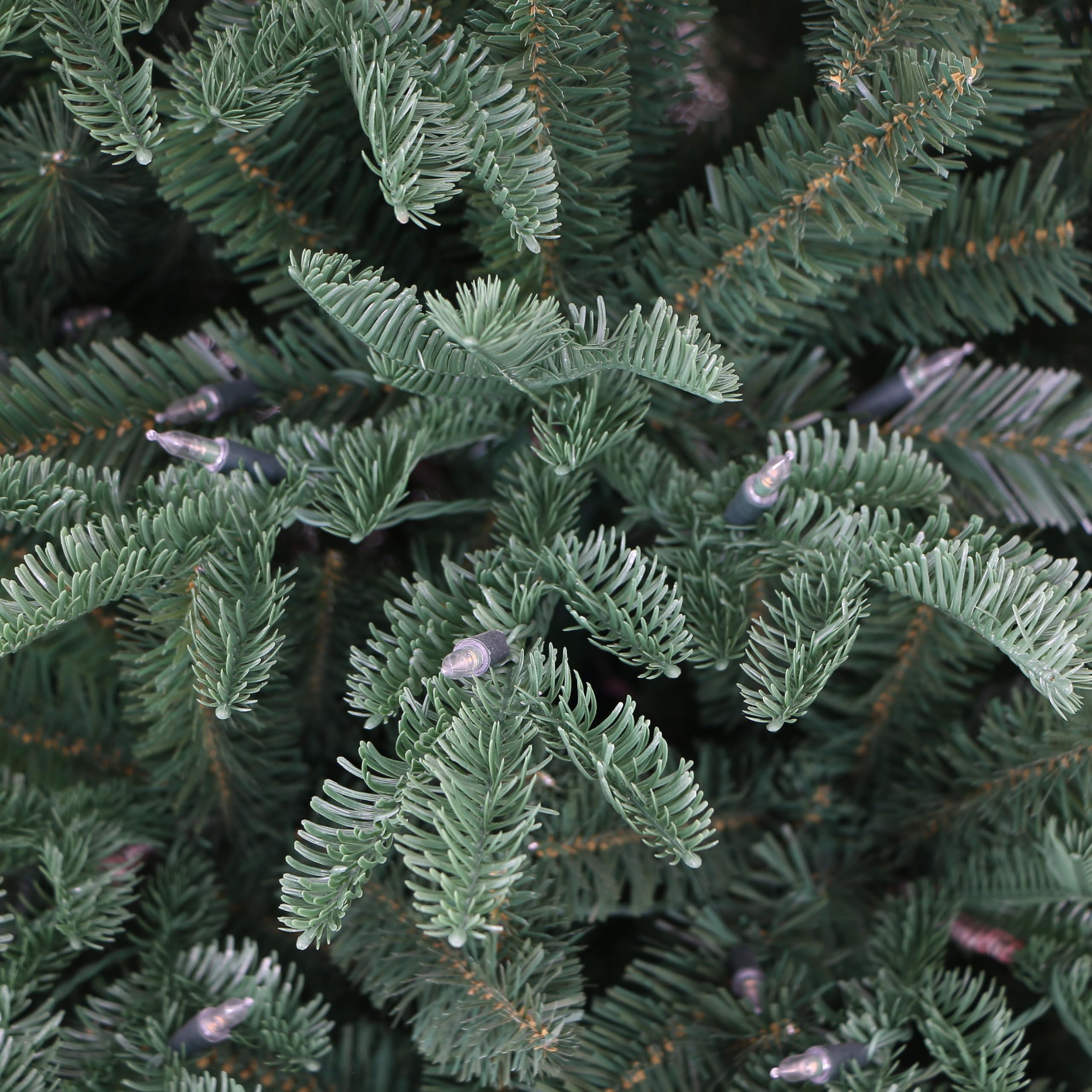 Holiday Stuff Pre-Lit Fraser Fir Christmas Tree with Warm White LED Lights