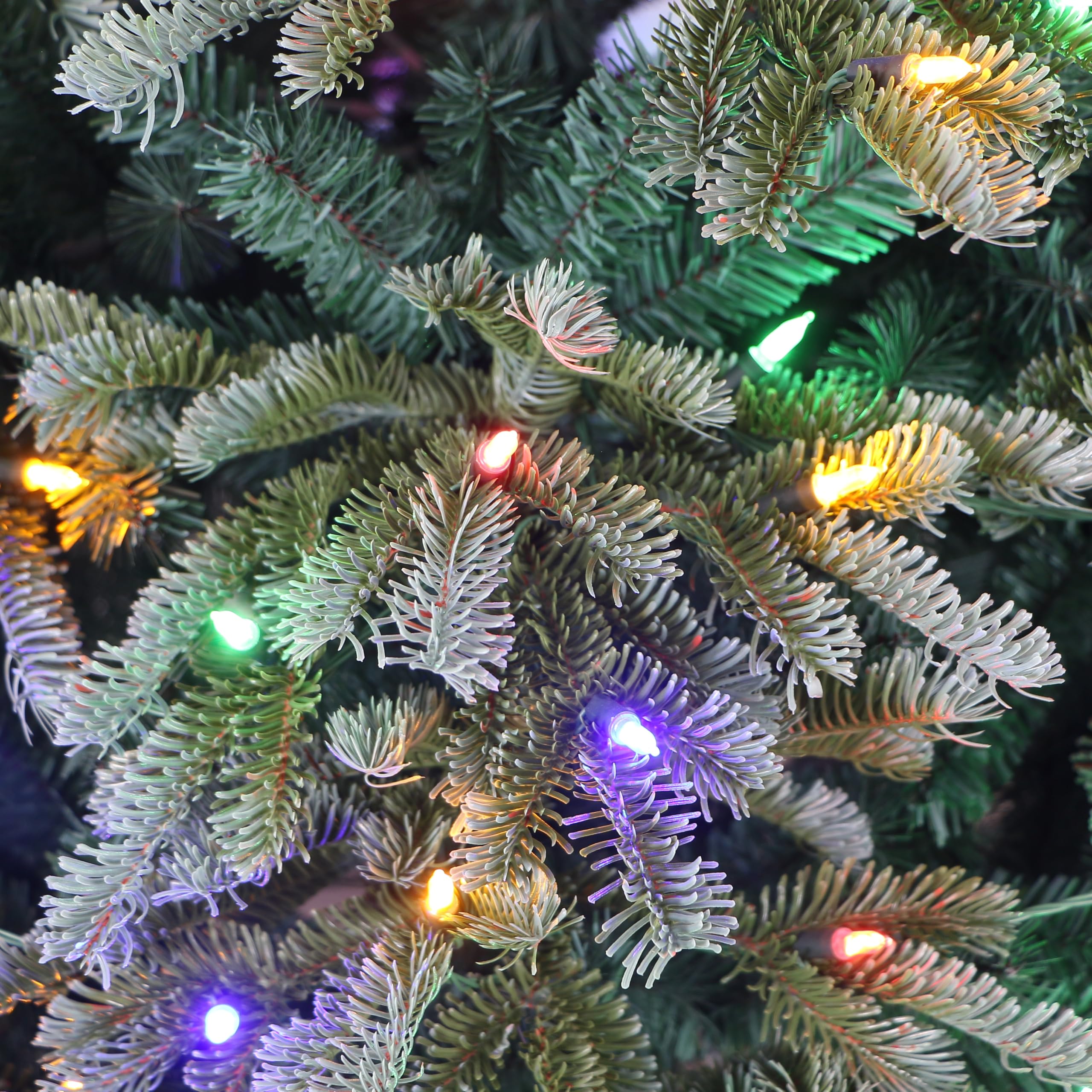 Holiday Stuff Dual Fraser Fir Pre-Lit Artificial Christmas Tree, Colour Changing LEDs, Remote Control