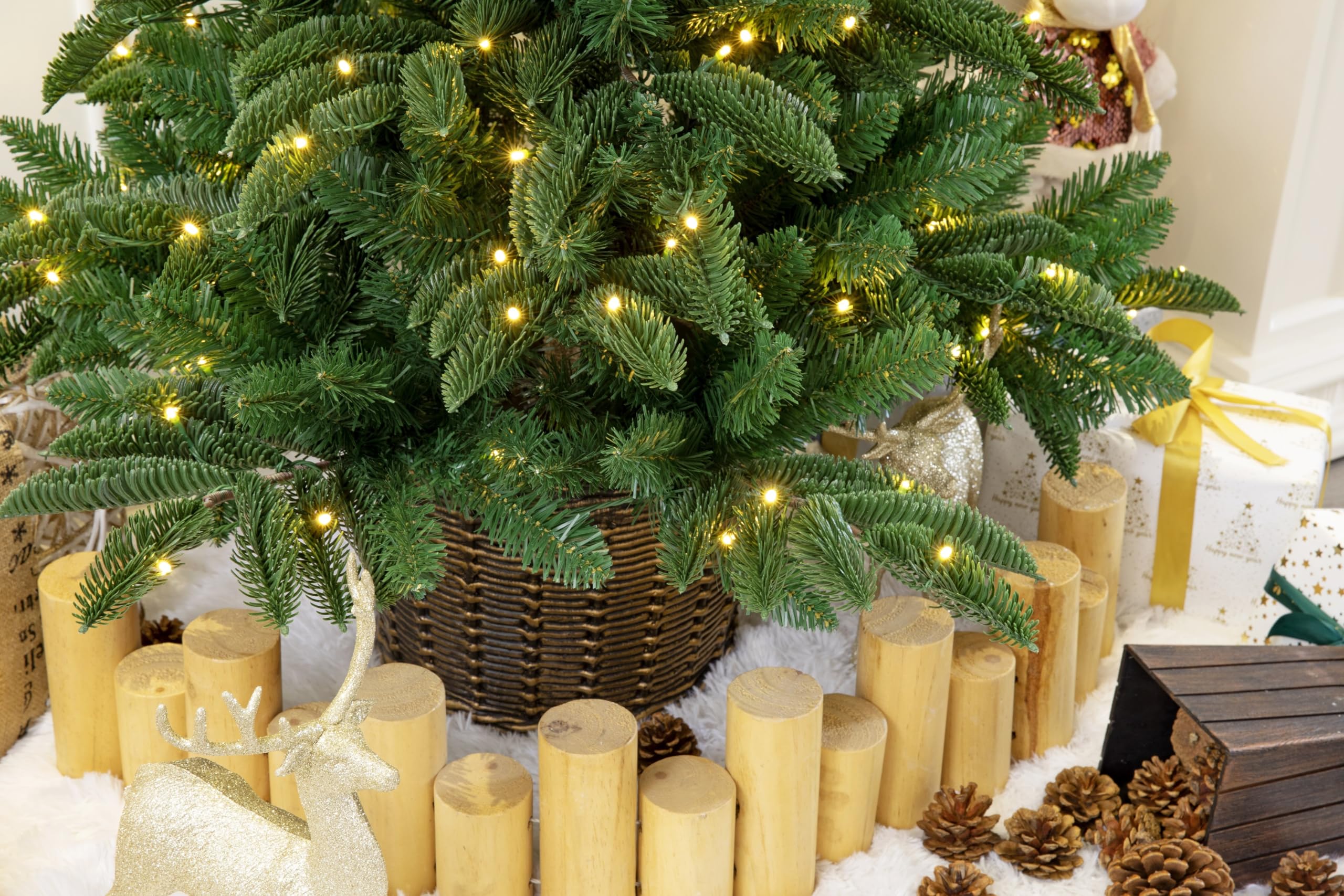 4ft Potted Appalachian Mountain Fraser Fir Christmas Tree