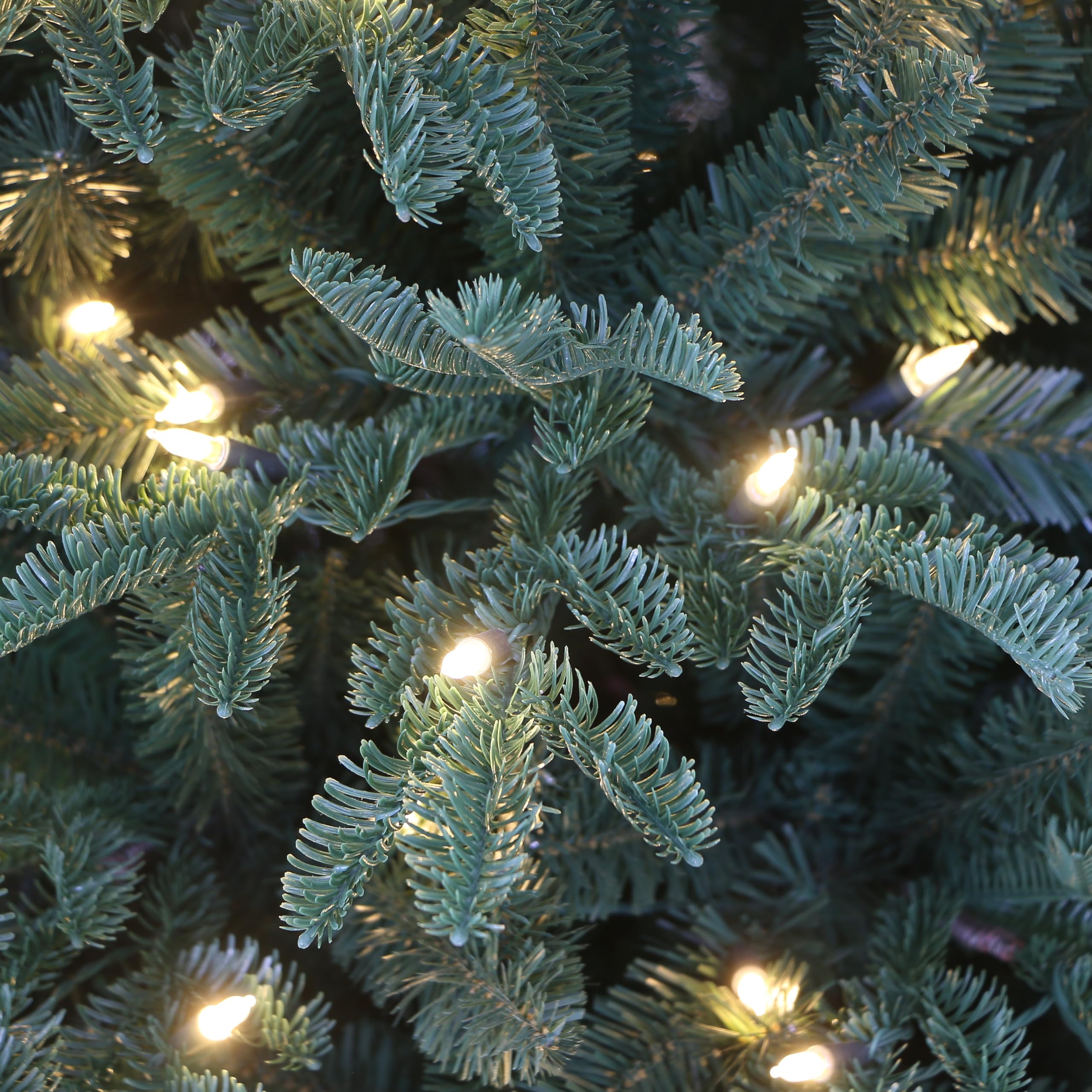 Holiday Stuff Pre-Lit Fraser Fir Christmas Tree with Warm White LED Lights