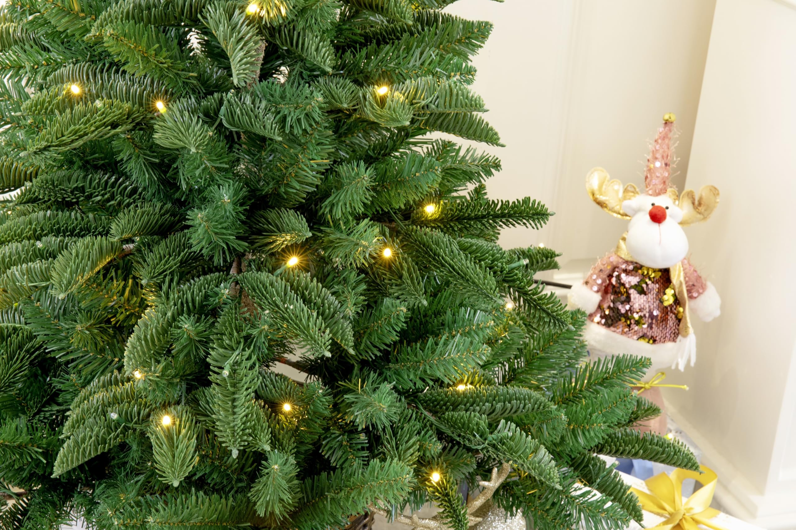 4ft Potted Appalachian Mountain Fraser Fir Christmas Tree