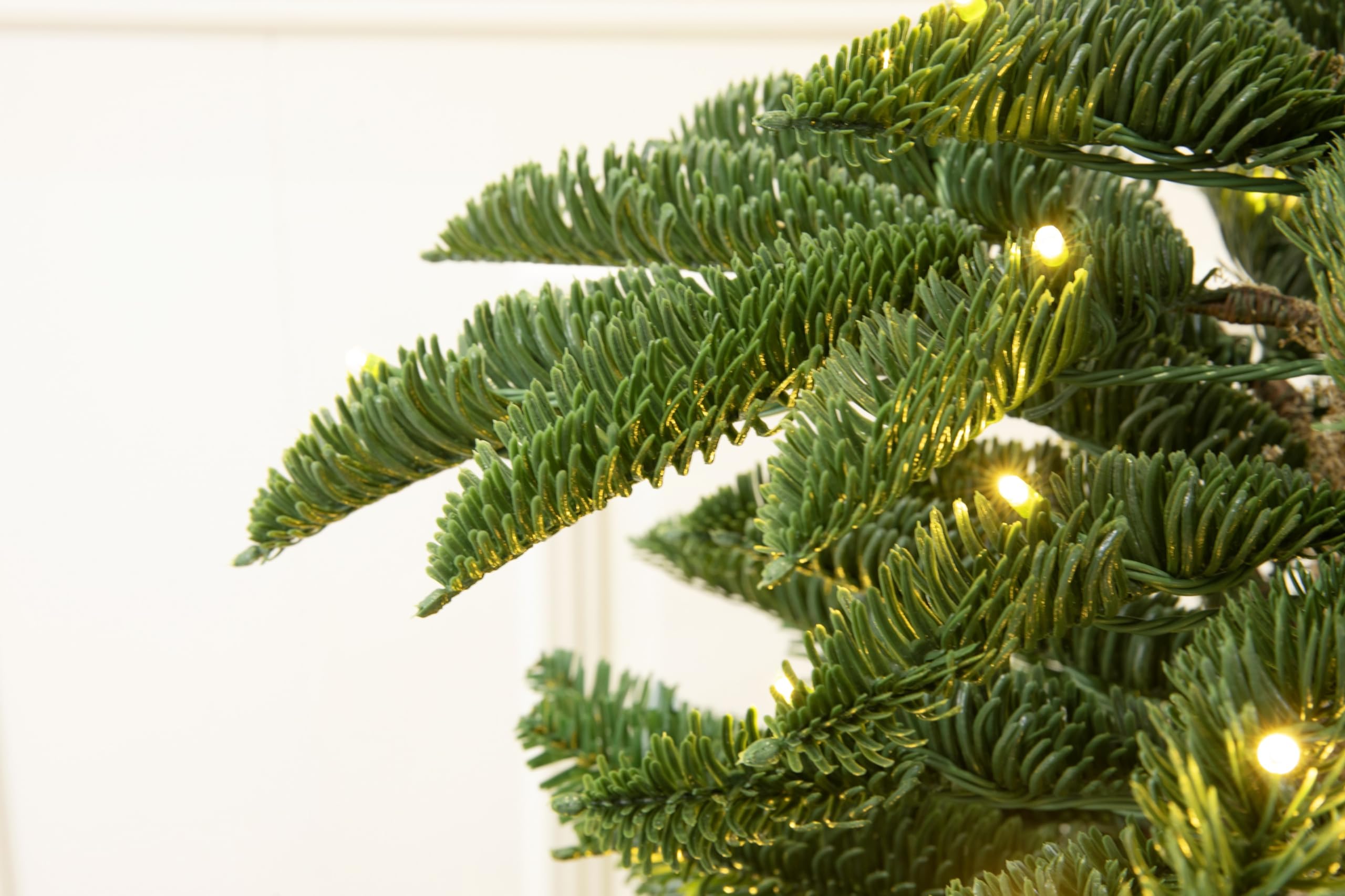 4ft Potted Appalachian Mountain Fraser Fir Christmas Tree