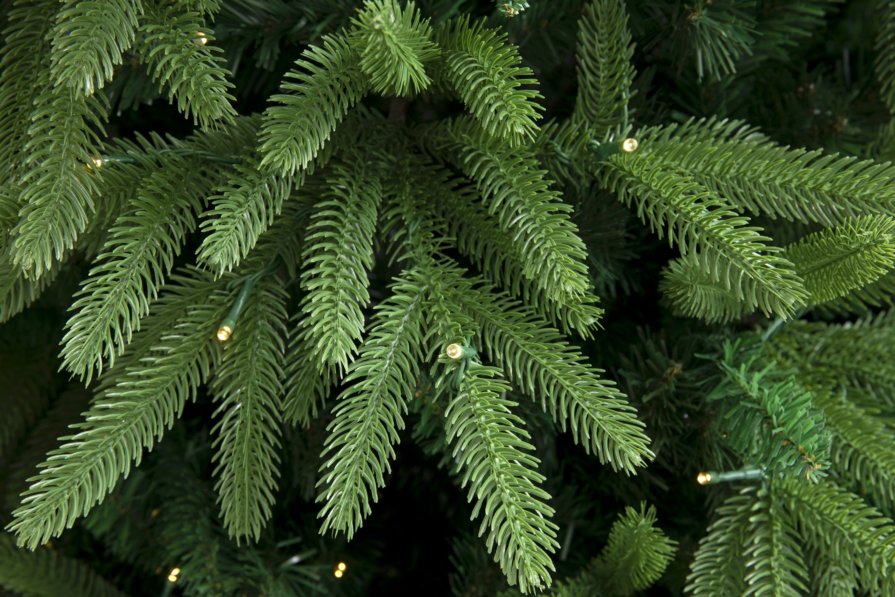 Evergreen Valley Fraser Fir Christmas Tree – HOLIDAY STUFF