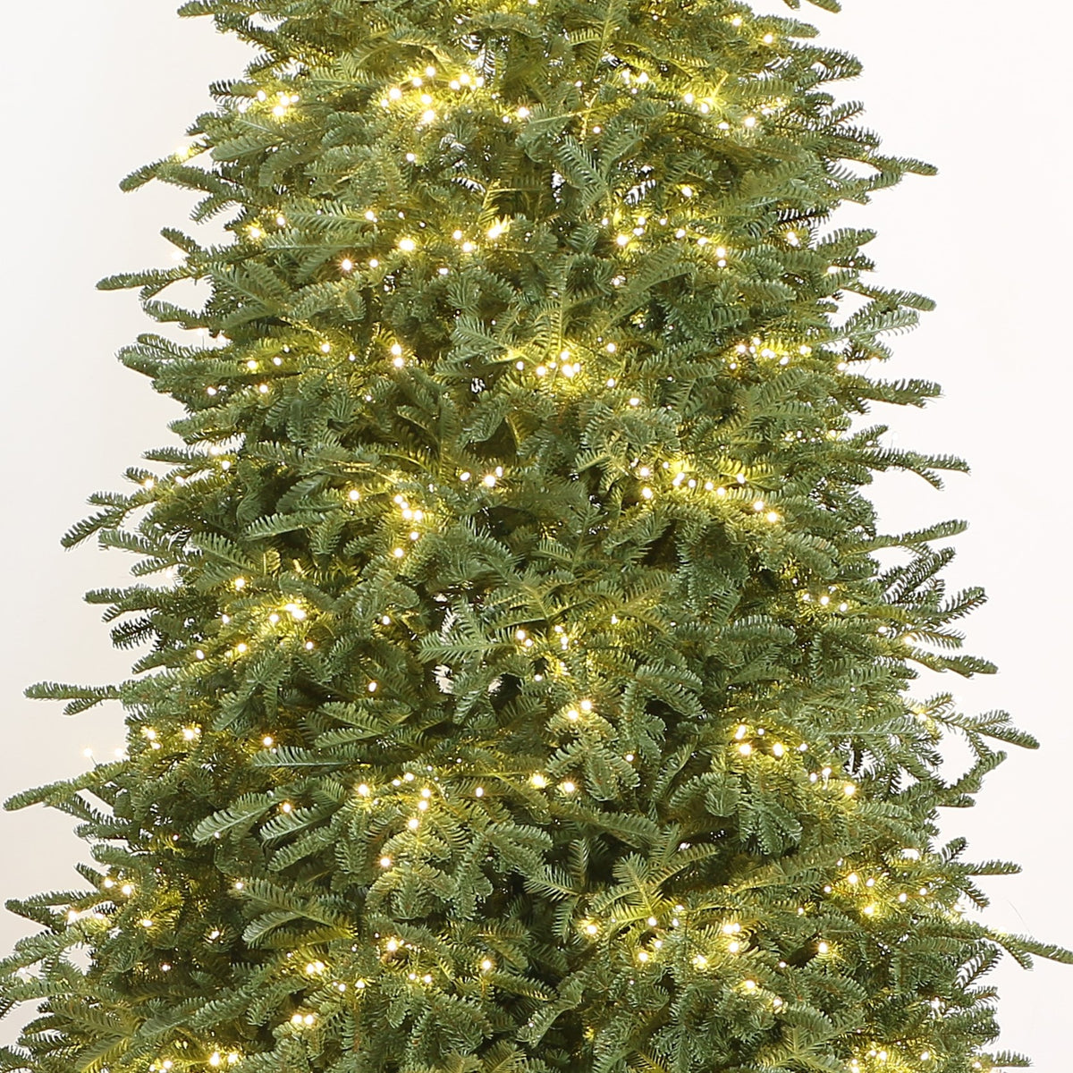 Royal Balsam Fir Christmas Tree