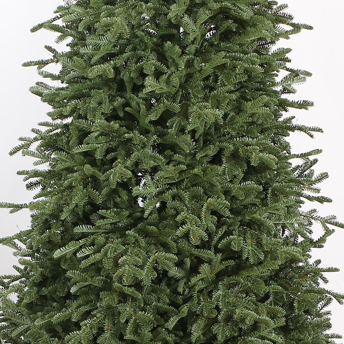 Royal Balsam Fir Christmas Tree