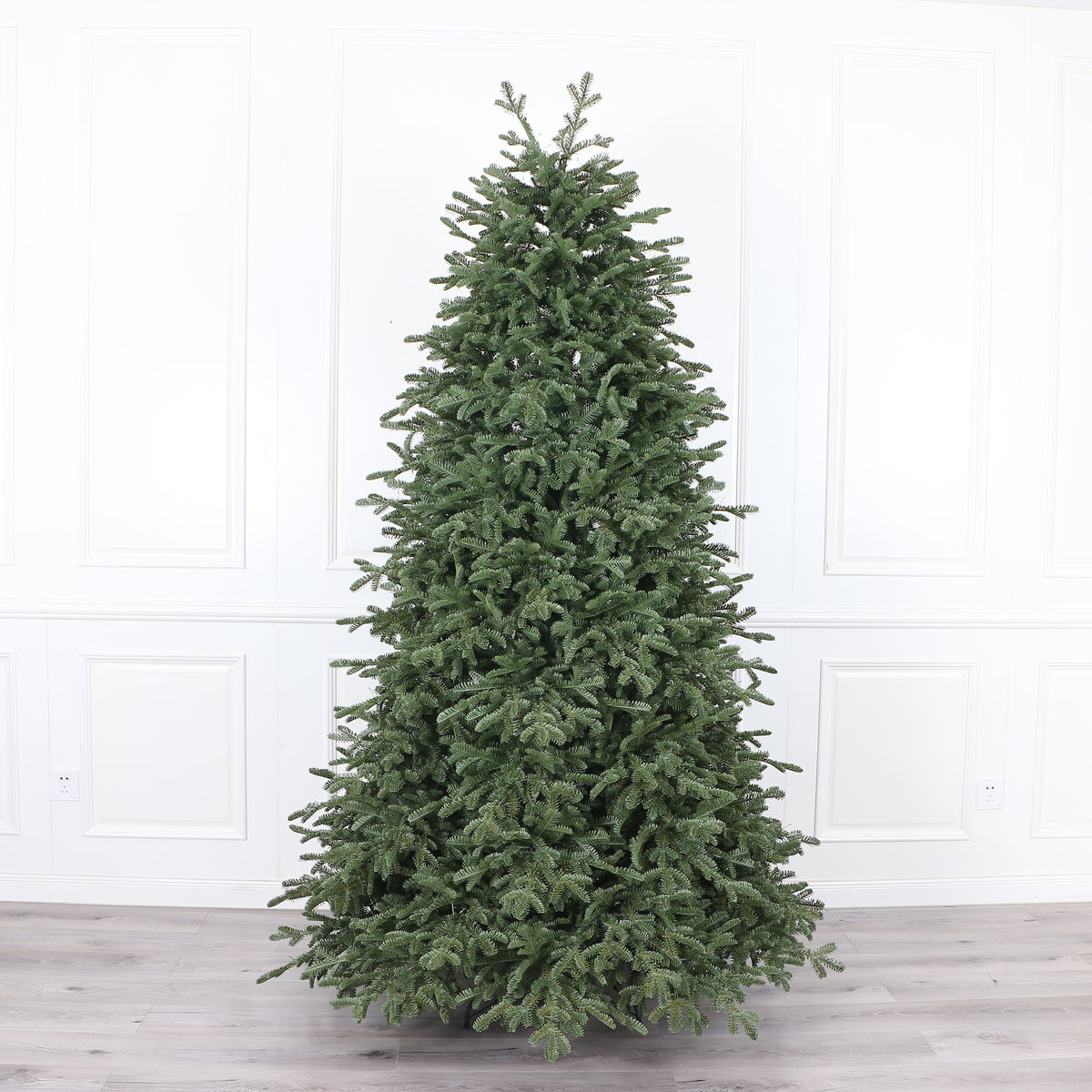Royal Balsam Fir Christmas Tree