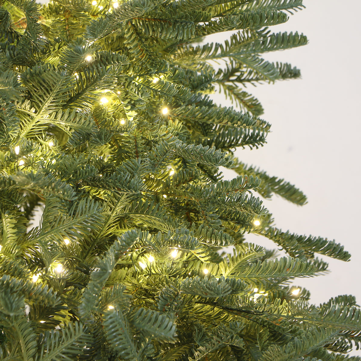 Royal Balsam Fir Christmas Tree