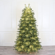 Royal Balsam Fir Christmas Tree