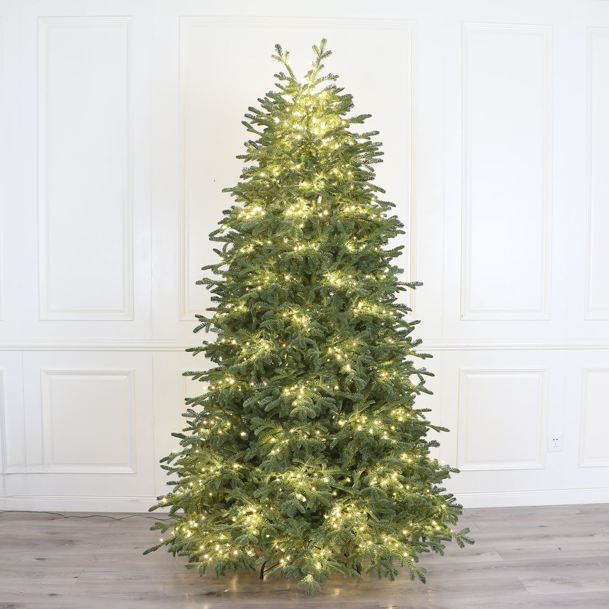 Royal Balsam Fir Christmas Tree