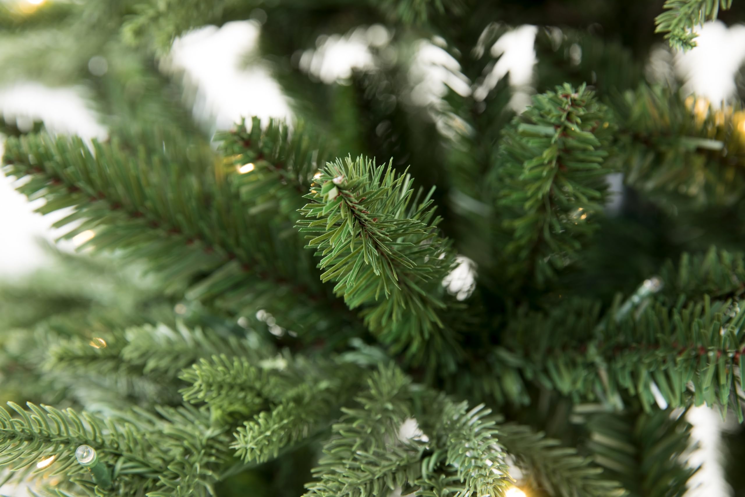 7' Fine Shape Nordmann Fir Christmas Tree (7ft Unlit)