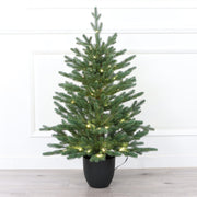 3ft Potted Small Balsam Fir Tabletop Christmas Tree