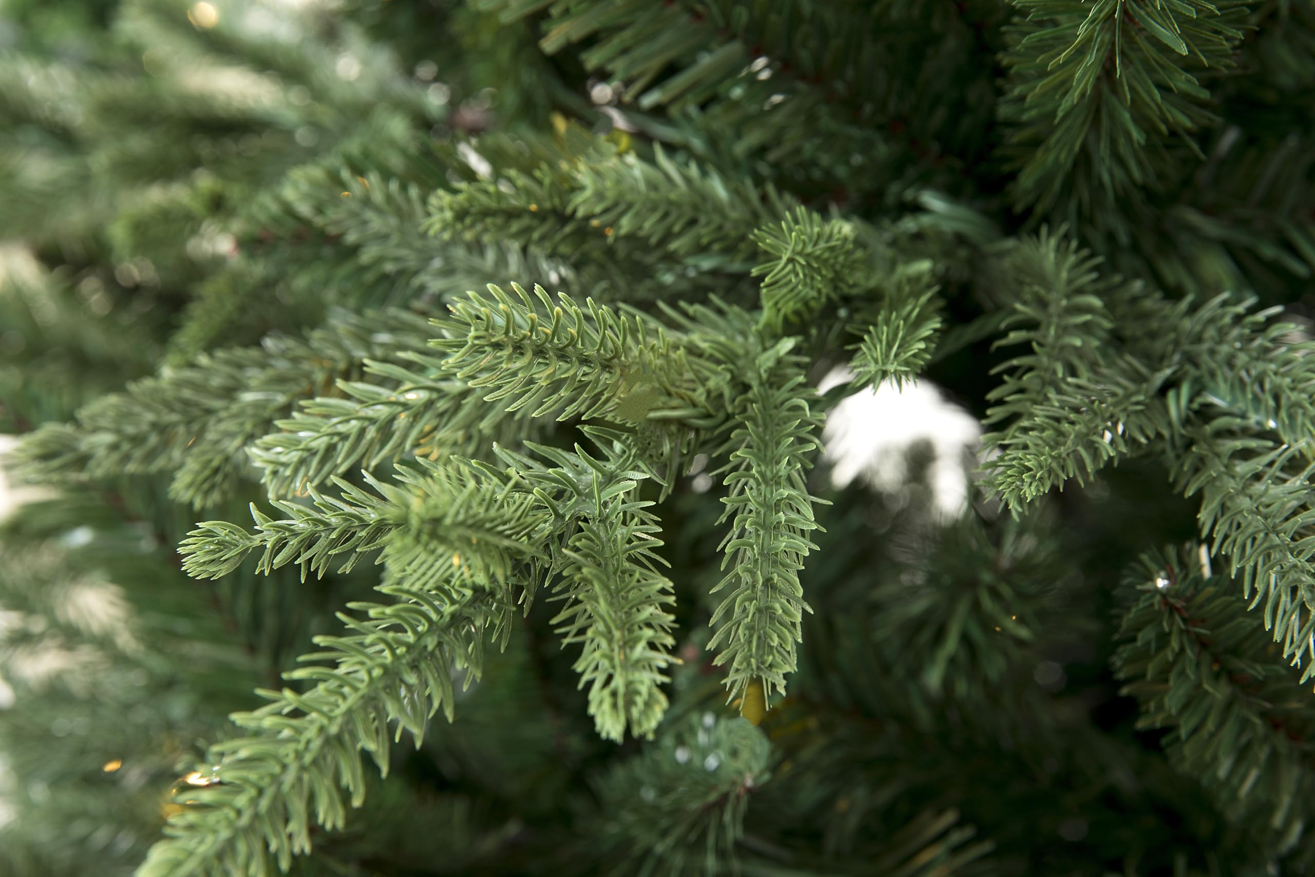 7' Fine Shape Nordmann Fir Christmas Tree (7ft Unlit)