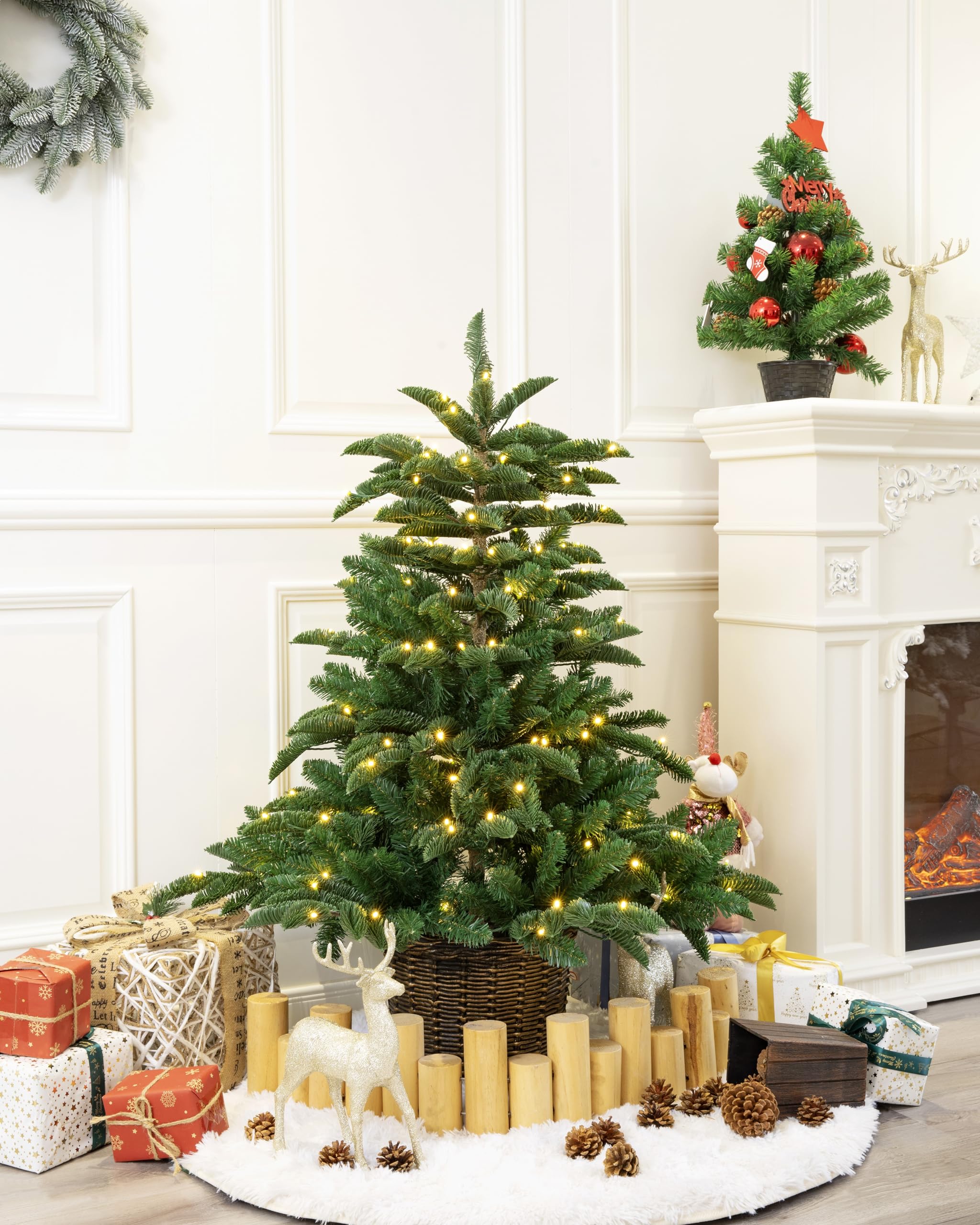 4ft Potted Appalachian Mountain Fraser Fir Christmas Tree