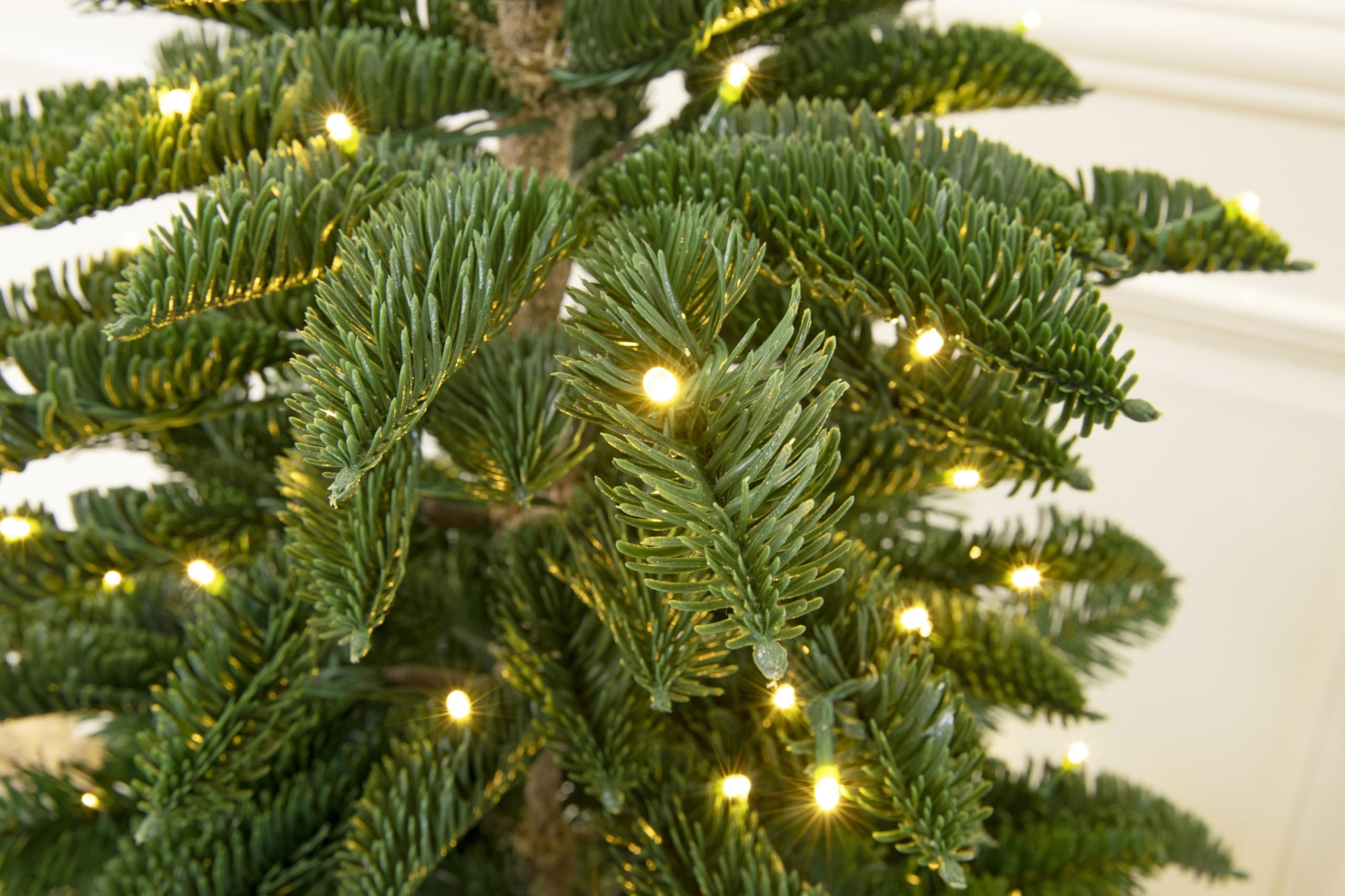 4ft Potted Appalachian Mountain Fraser Fir Christmas Tree