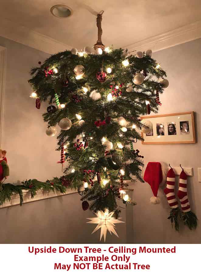 4-Ft National Pine Mix Upside-down Pre-lit Christmas Tree